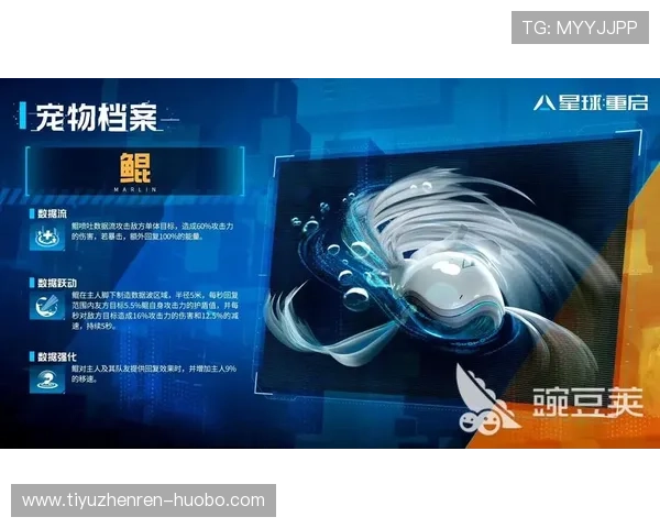 开云体育网页版入口登录功能介绍，全面了解登录页面的特色及操作流程