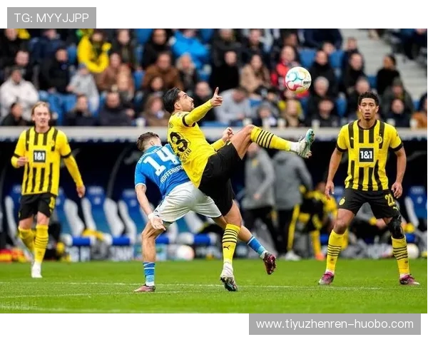 轻松访问爱游戏体育app官网，享受便捷的体育直播服务