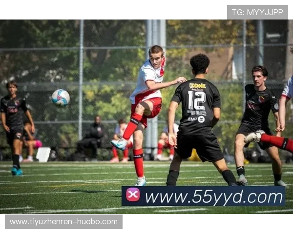 乐鱼在线体育：多平台支持带来极致观看体验