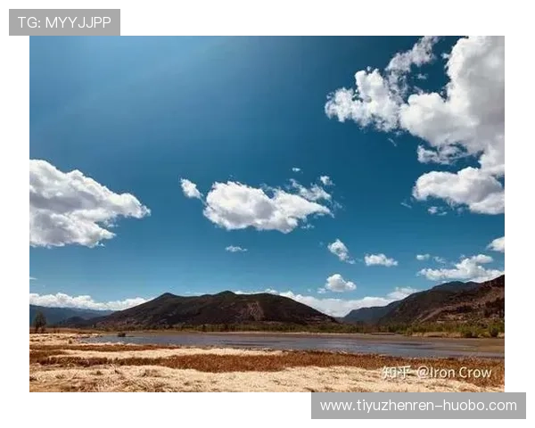 提升天空手机登录成功率的实用技巧与常见错误避免指南